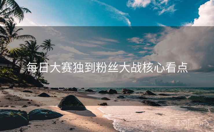 每日大赛独到粉丝大战核心看点