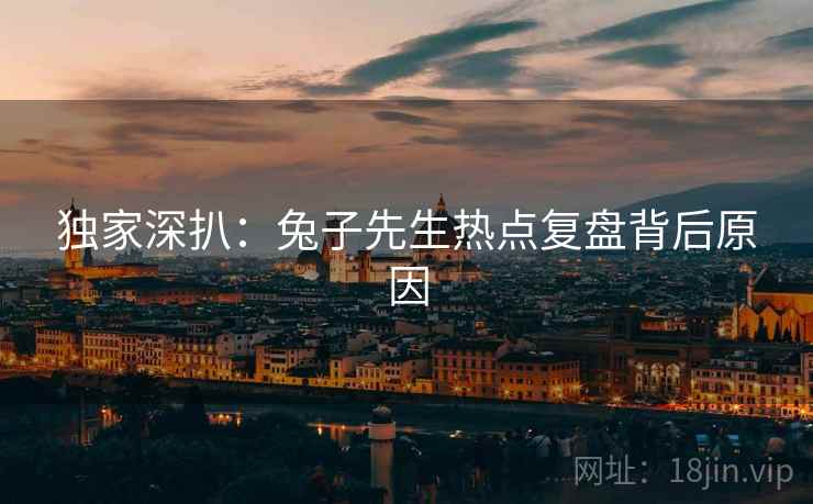 独家深扒：兔子先生热点复盘背后原因