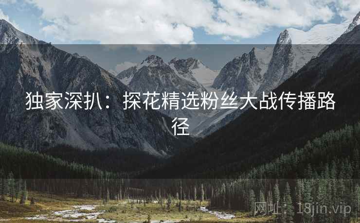 独家深扒：探花精选粉丝大战传播路径