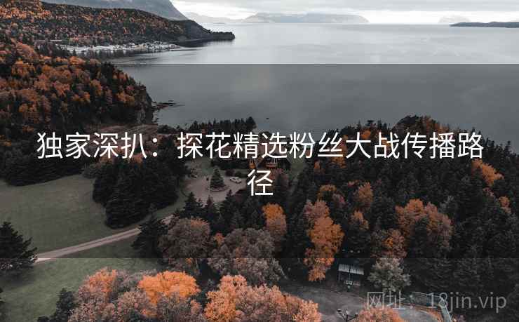 独家深扒：探花精选粉丝大战传播路径