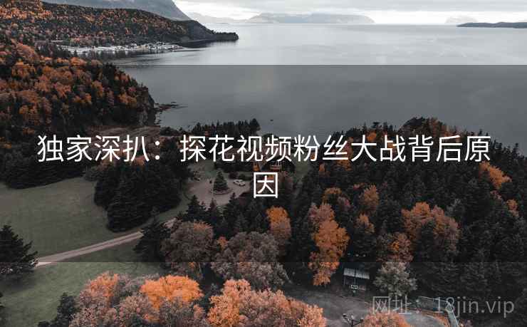 独家深扒：探花视频粉丝大战背后原因