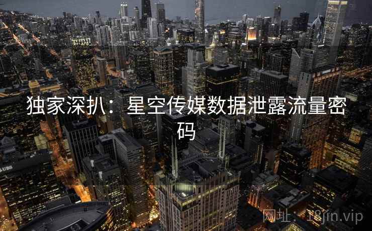 独家深扒：星空传媒数据泄露流量密码